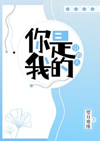 你是我的引路人
