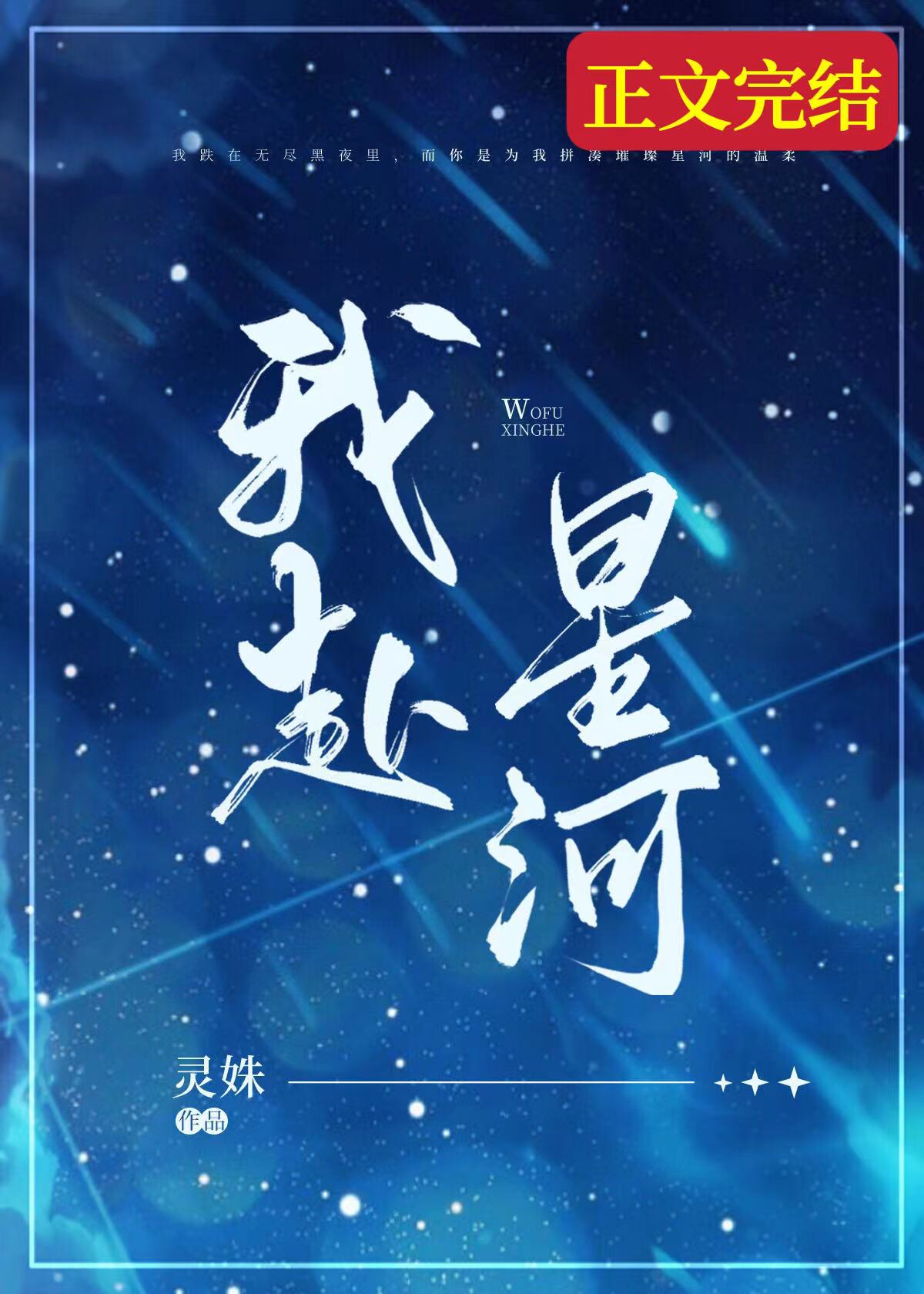 我赴星河