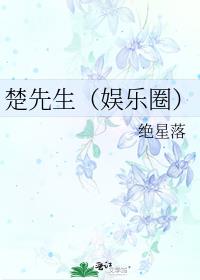 楚先生（娱乐圈）