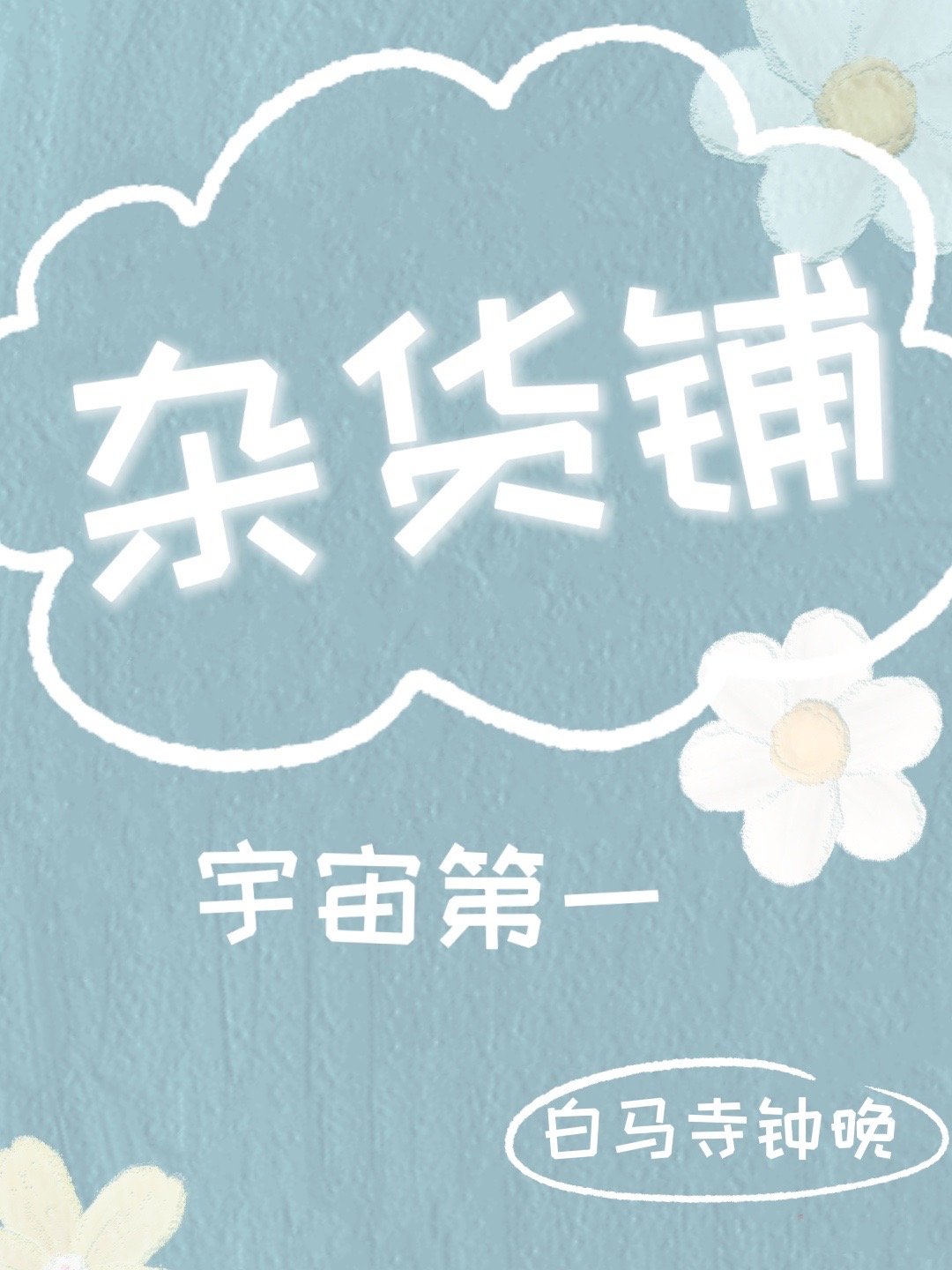 宇宙第一杂货铺[全息]