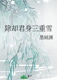 除却君身三重雪
