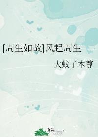 [周生如故]风起周生