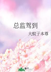 总监驾到