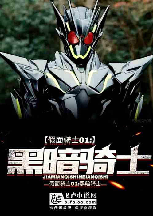 假面骑士01:黑暗骑士