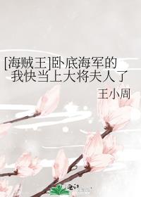 [海贼王]卧底海军的我快当上大将夫人了