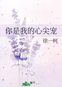 你是我的心尖宠