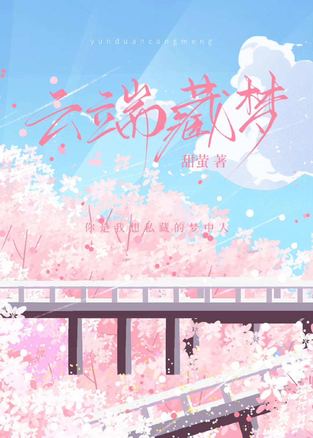 云端藏梦