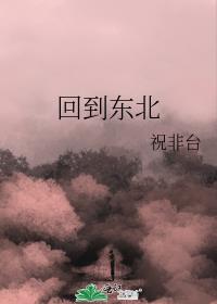 回到东北