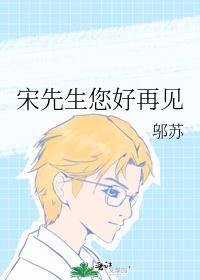宋先生您好再见