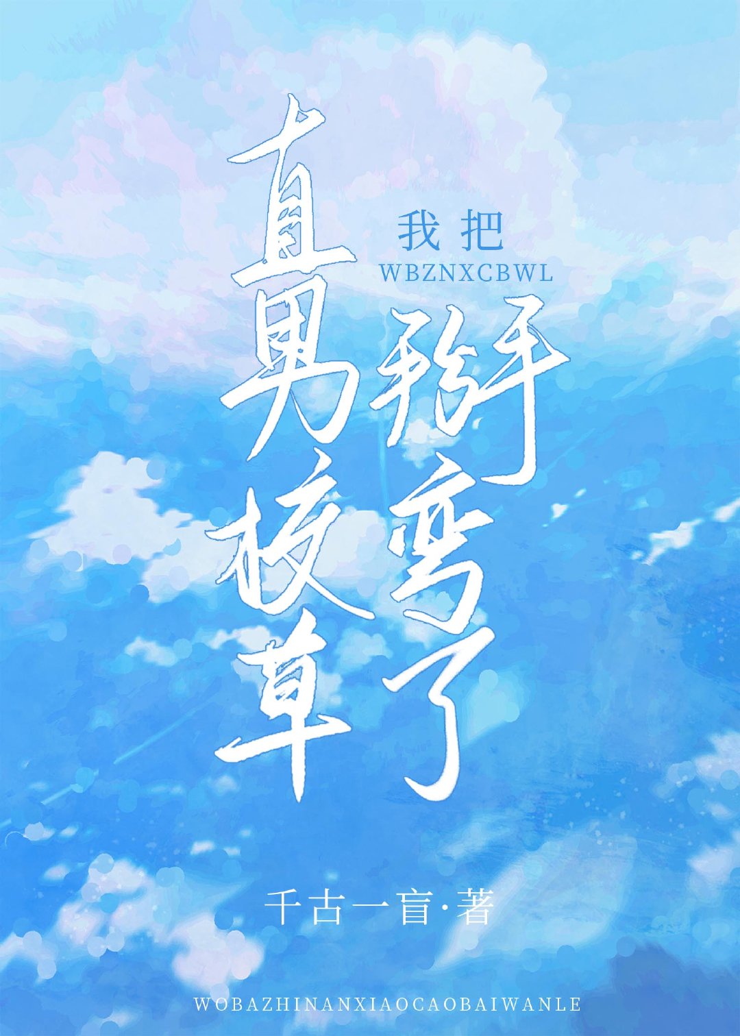 网恋后我把直男校草掰弯了