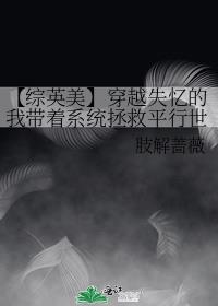 【综英美】穿越失忆的我带着系统拯救平行世界