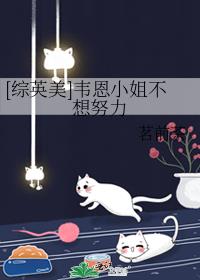 [综英美]韦恩小姐不想努力