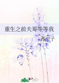 重生之前夫哥等等我
