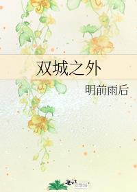 双城之外