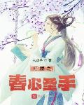 红楼之春心圣手