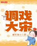 调戏大宋