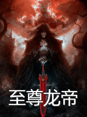 至尊龙帝陆鸣