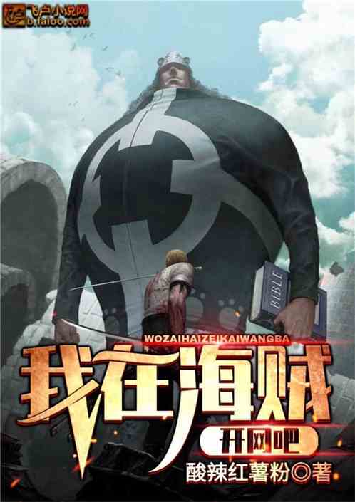 我在海贼开网吧