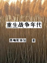 重生战争年代