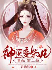 残疾王爷的小医妃